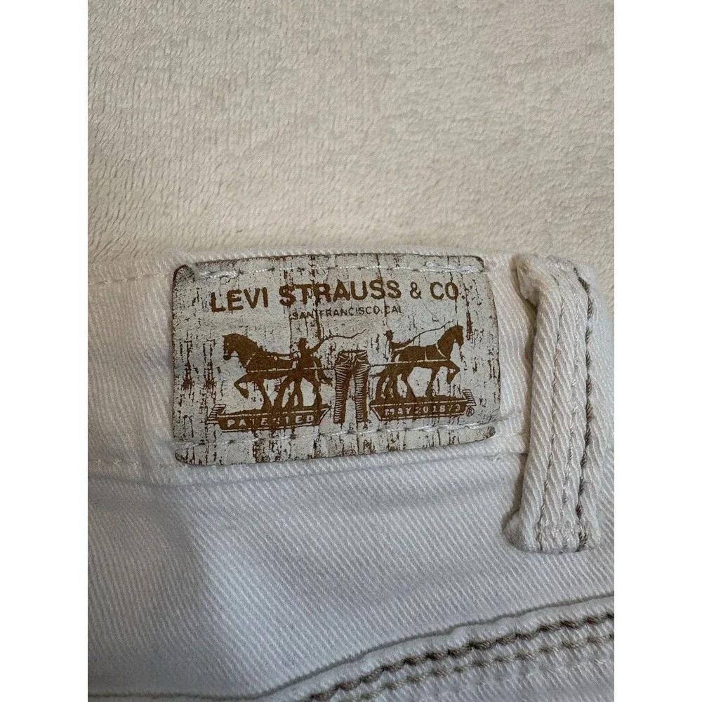 Levis Strauss fast shipping